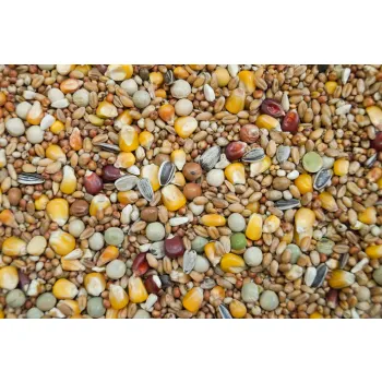 Gold Wings Karma Rozpłodowo Lotowa  25 kg